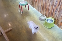 몽실이의1박2일